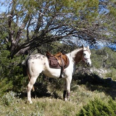 Improve your French, ride horse and enjoy nature in Narbonne's park