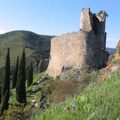 French and culture course in nature in Carcassonne