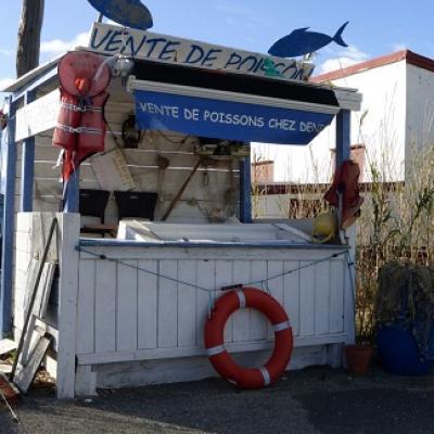 Discover South of France fishermen village with your French teacher
