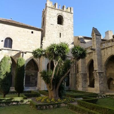 Learn french history and culture in narbonne