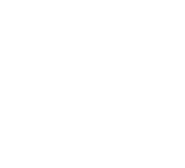 Sante ambulance 3