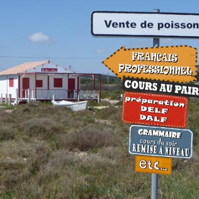 Tailor made french language course in languedoc